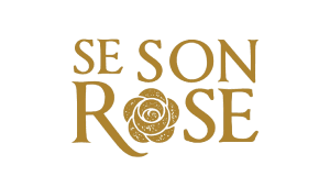Se Son Rose Shoes